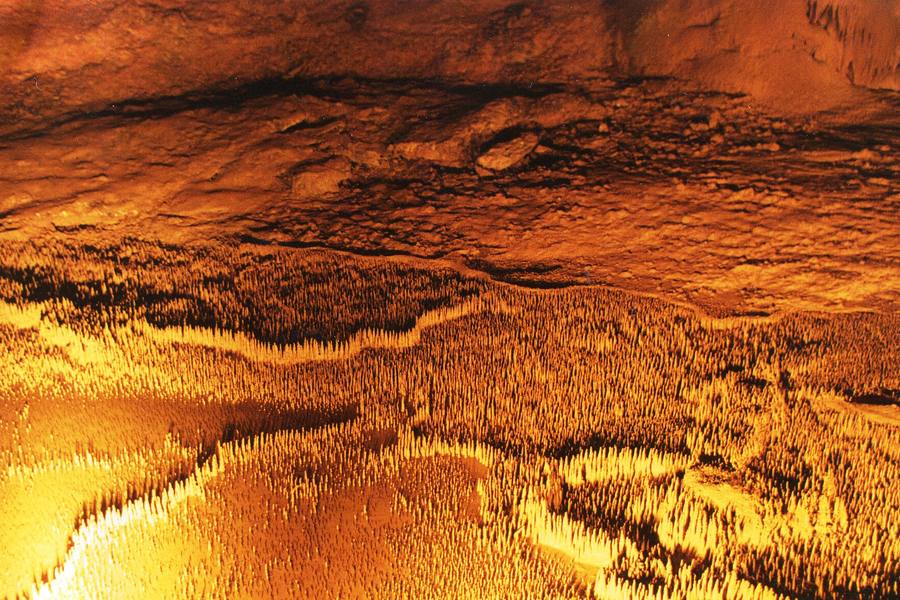 Les concrétions de la grotte de Trabuc, à Mialet
